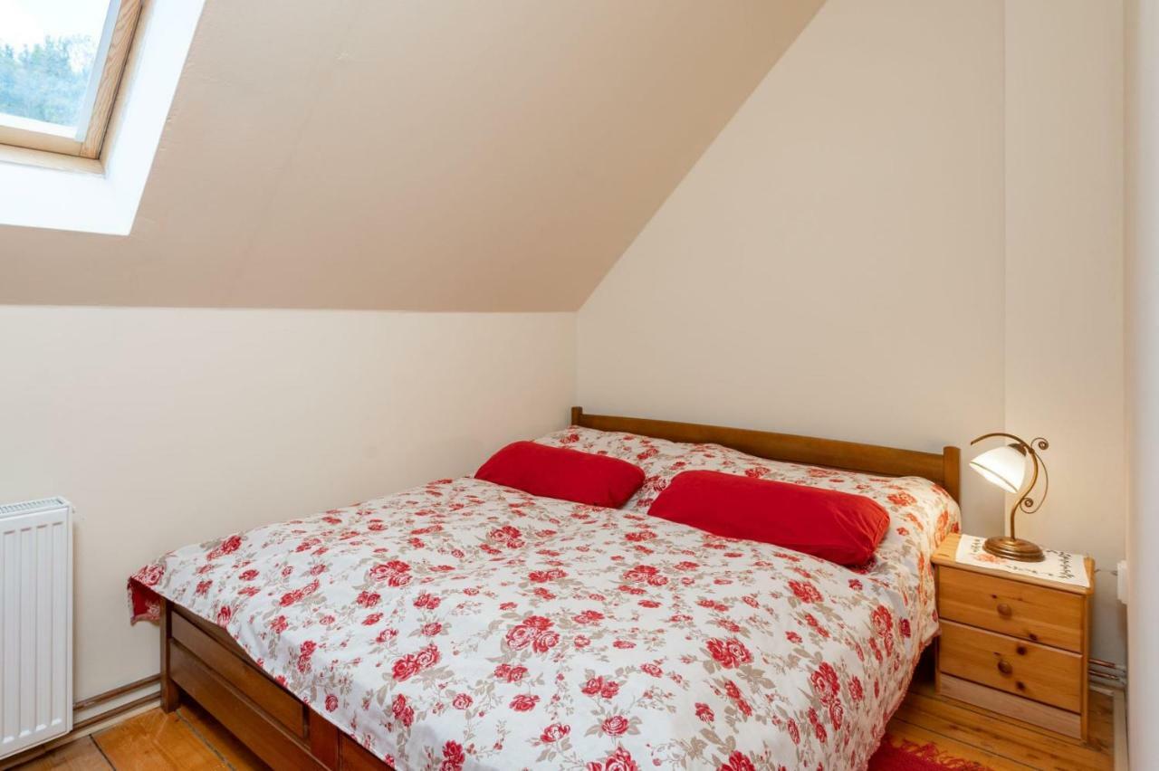 Vila Josefina Jizerske Hory Josefŭv Dŭl Dış mekan fotoğraf